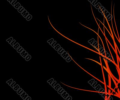 flame border flame border