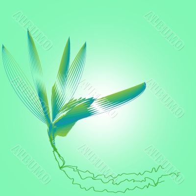 Water Plant