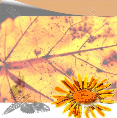 Spring Design