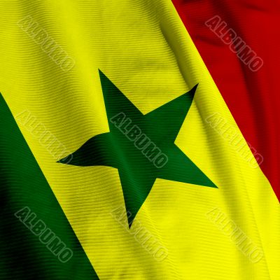 Senegalese Flag Closeup