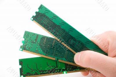 chips of memory in a hand. isolated chips of memory in a hand. isolated