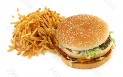 french fries and hamburger