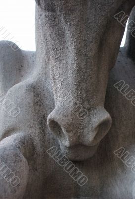 Detail of Stone Horse Head