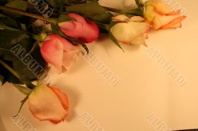 Valentine Border Design