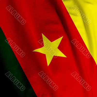 Cameroonian Flag Closeup