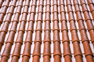 Roof tiles