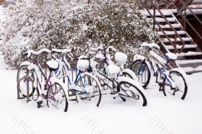 Bikes after the snowstorm. Bikes after the snowstorm.