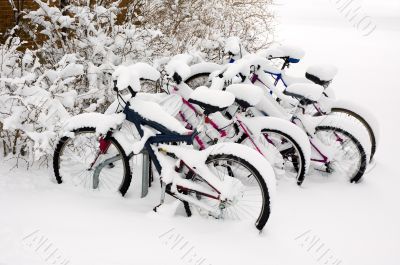 Bikes after the snowstorm.