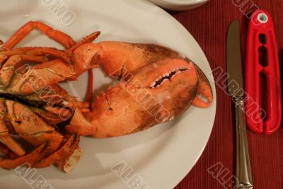 Lobster Claws Lobster Claws
