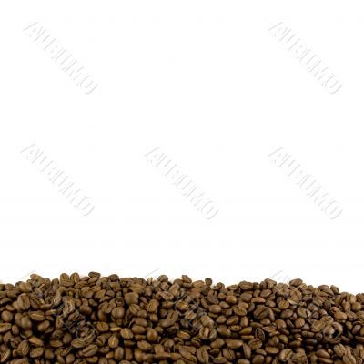Template with coffee beans footer