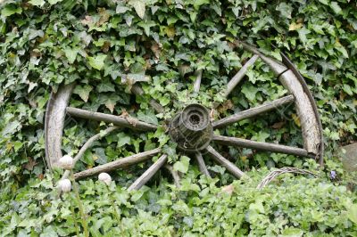 cart with flowers