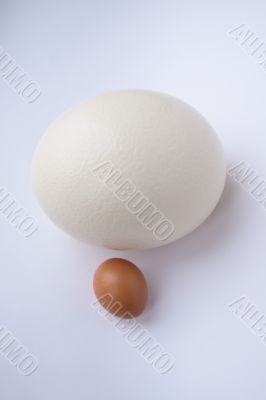 Different Eggs