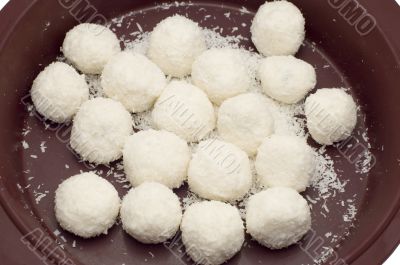 coconut biscuit