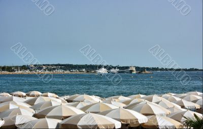 Dense beach umbrellas