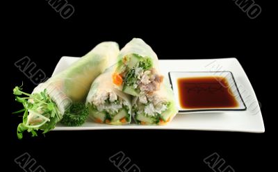 Vietnamese Rice Paper Rolls 1