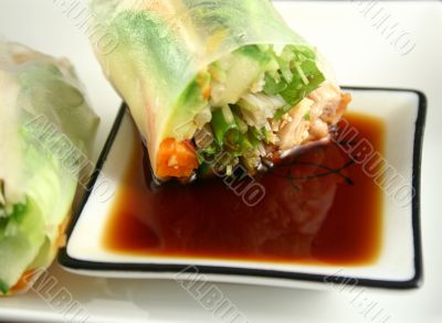 Vietnamese Rice Paper Rolls 2