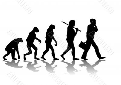 Evolution Evolution