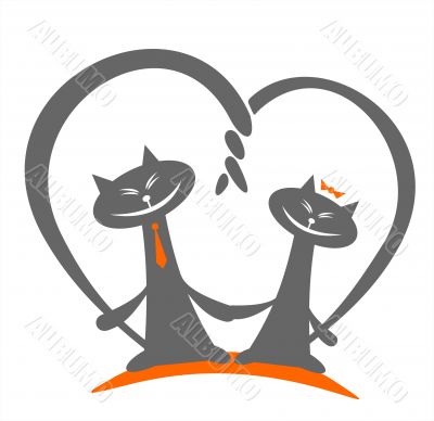 cats love cats love