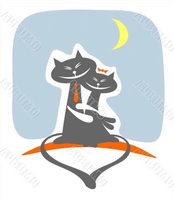 night cats love