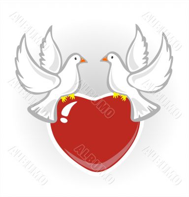 pigeons and heart