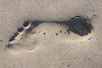 Footprint in the sand