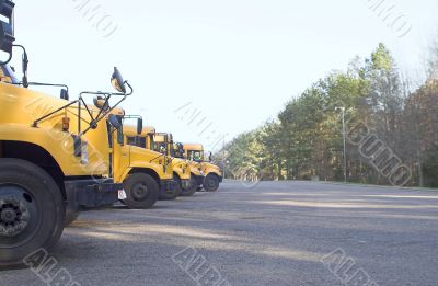 School Buses School Buses