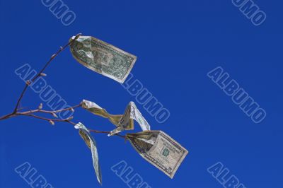 Money Tree Money Tree