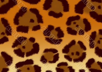 Background - a fluffy skin of a jaguar