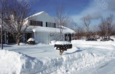 Winter Winter