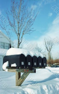 Winter Winter