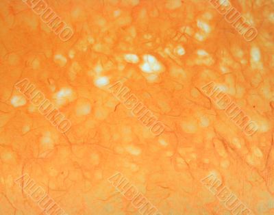 Orange Handmade Paper Background