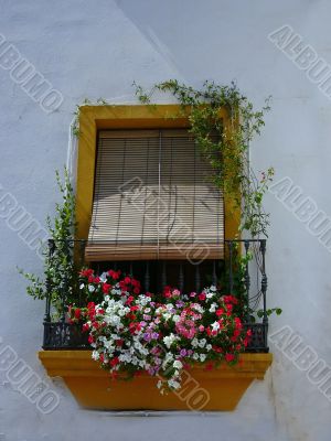 Balcony with flowers