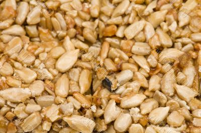 sunflowers seed macro