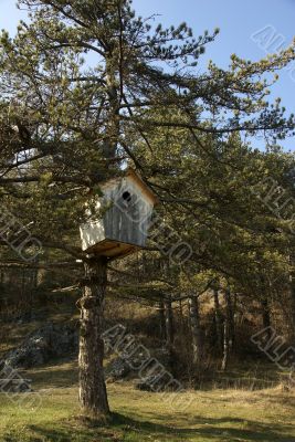 huge wooden nestling box