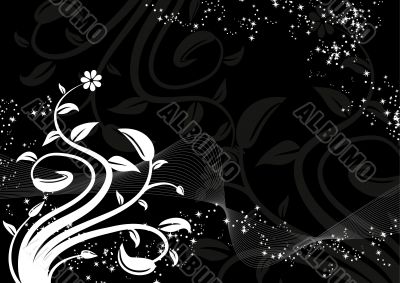 Floral Floral