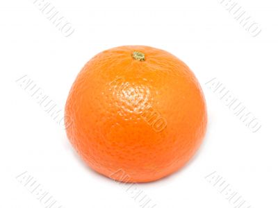 Tangerine from Morocco