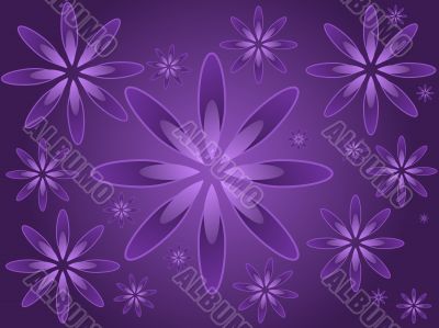 Purple Flowers