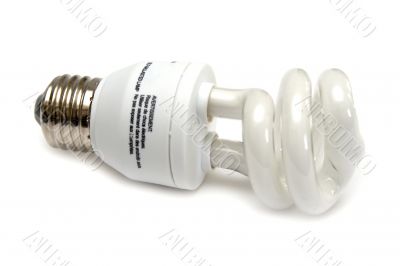 Self-ballasted fluorescent economical lamp