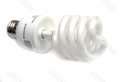 Self-ballasted fluorescent economical lamp