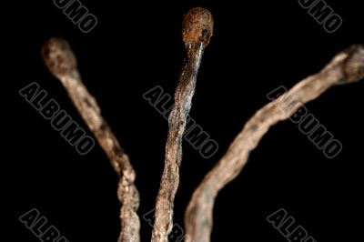 Match with smoke isolated in dark background Match with smoke isolated in dark background