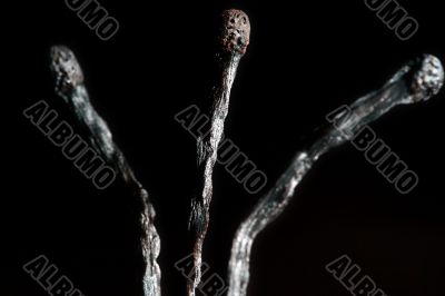 Match with smoke isolated in dark background Match with smoke isolated in dark background
