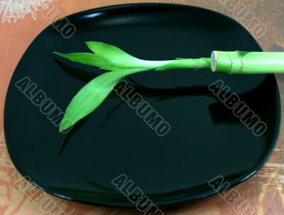 Bright Green Bamboo on Black Reflective Plate