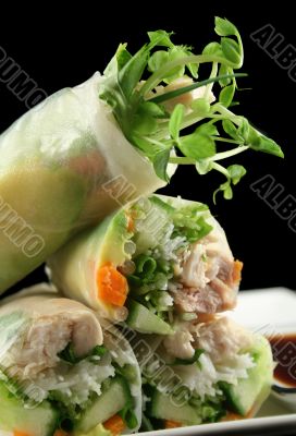 Vietnamese Rice Paper Rolls 3