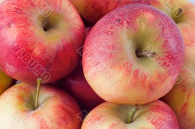 Close-up on fresh red apples