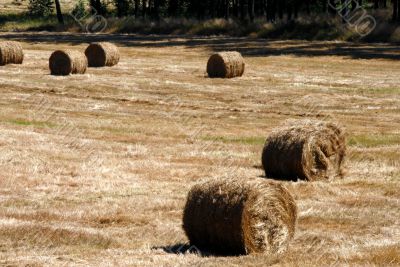 Fall Hay Bale