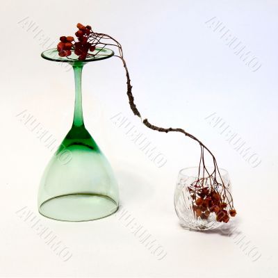 wineglass and the ashberry twig