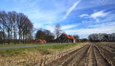 farm in spring