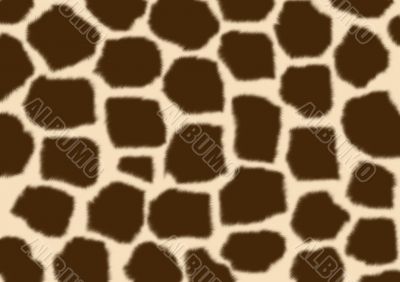 Texture - a fluffy skin of a giraffe