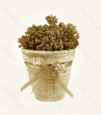 Ancient decorative flowerpot with a tape. Sepia