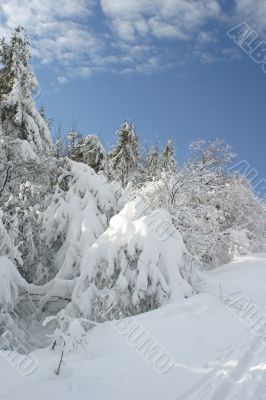 snow and sky